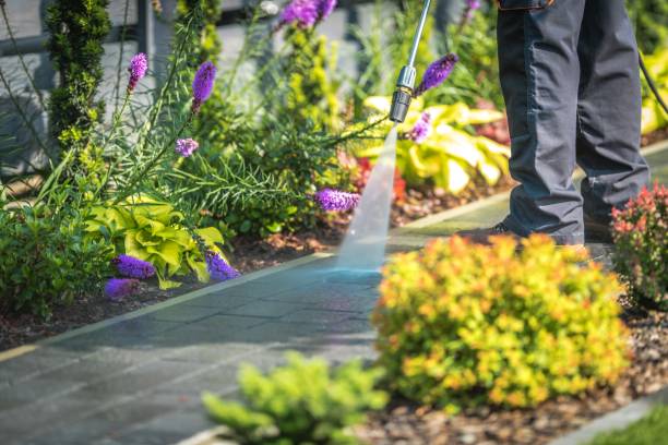 Best Driveway Pressure Washing  in Perry Park, CO